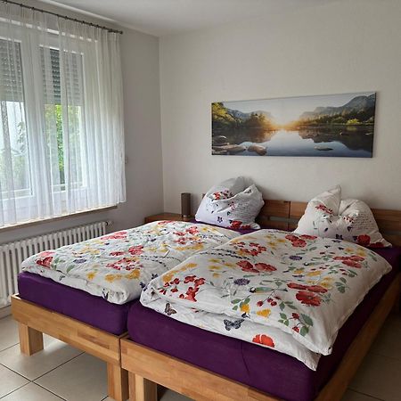 Klettgauperle - Familien- Und Behindertengerechte Ferienwohnung Griessen Buitenkant foto